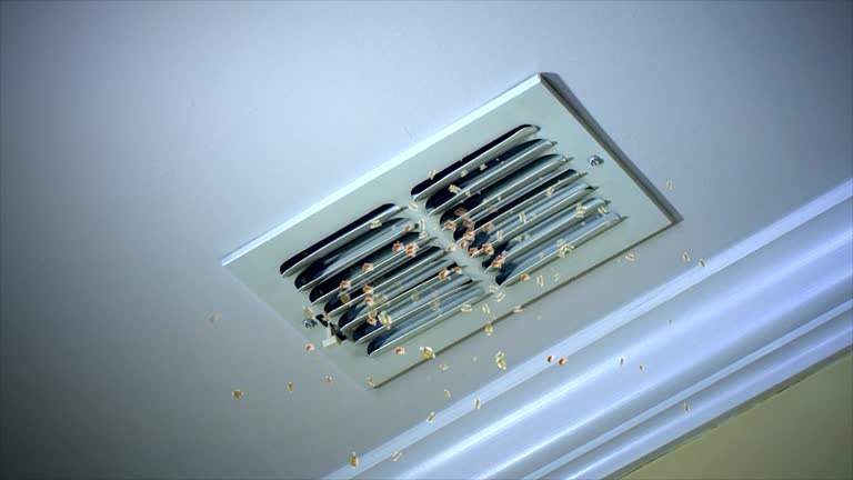Best Ductwork Cleaning Services  in Fairview, UT